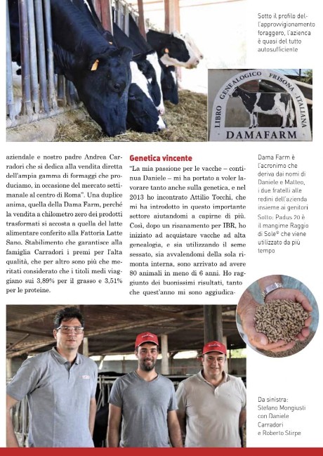 protagonisti i bovini della baita di grazia protagonisti i bovini della baita di grazia