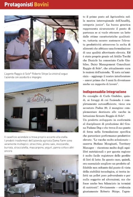 protagonisti i bovini della baita di grazia protagonisti i bovini della baita di grazia